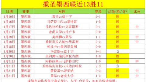 禁赛三个月仍能出战法国公开赛，辛纳无缘法网对决